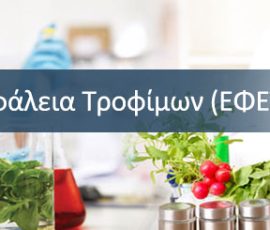 efet_banner