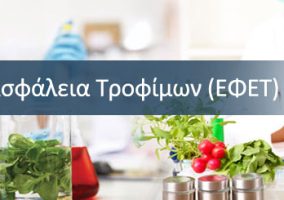 efet_banner